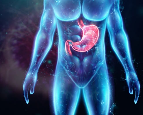 Pólipo do Estômago 3 hologram of the human body with the stomach Easy Resize.com